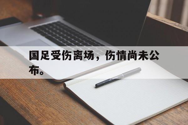 米兰体育官网-国足受伤离场，伤情尚未公布。
