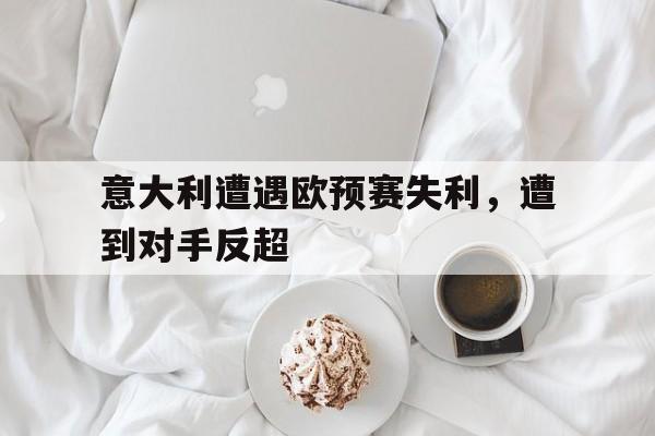 米兰体育app-意大利遭遇欧预赛失利，遭到对手反超