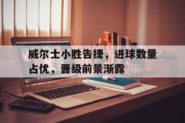 米兰体育app-威尔士小胜告捷，进球数量占优，晋级前景渐露
